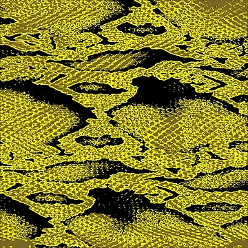 Artwork thumbnail, Python Skin by DesignFantazia