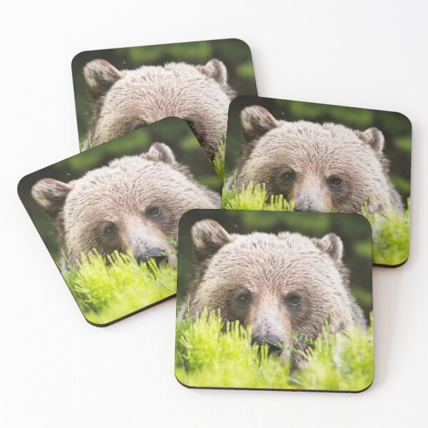 Item preview,  Grizzly Bear canvas,Grizzly Bear,animal, animals,Grizzly Bear wall art,Grizzly Bear artwork,Grizzly Bears,wild,Grizzly Bear art,Grizzly Bear painting designed and sold by eyesight4vision.