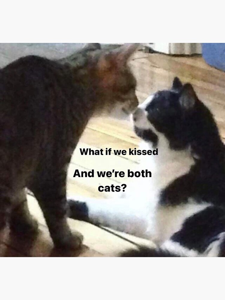 "What if we kissed and we're both cats? kissing cat meme" Poster by