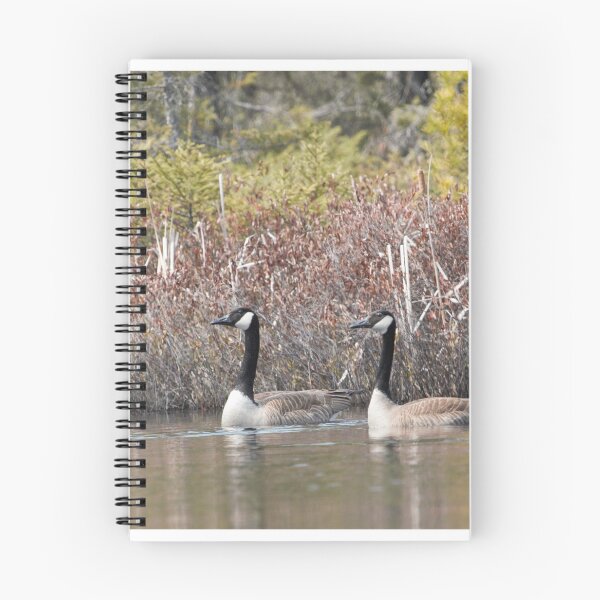 Item preview, A Pair of Honkers designed and sold by Dennis Deitz.
