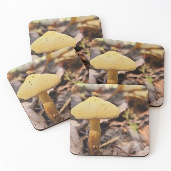Artikelvorschau, Pilz im Wald entworfen und verkauft von Totallyalive.