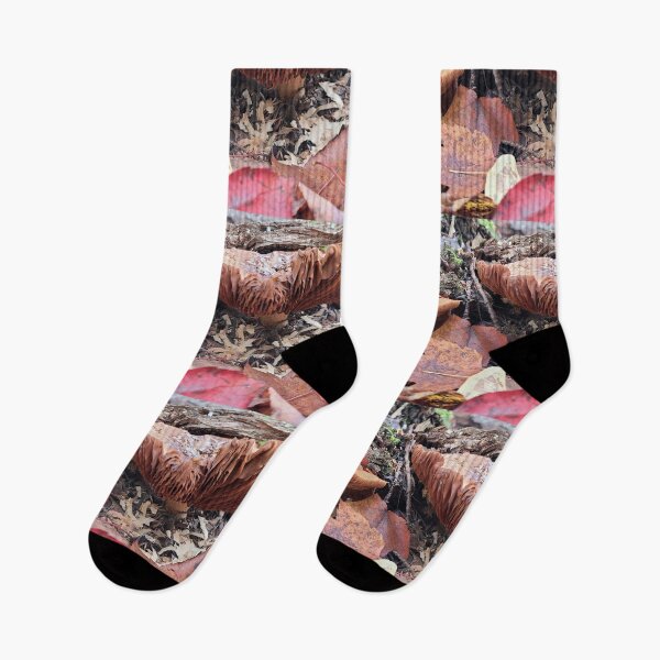 Item preview, Seta en el bosque designed and sold by Totallyalive.