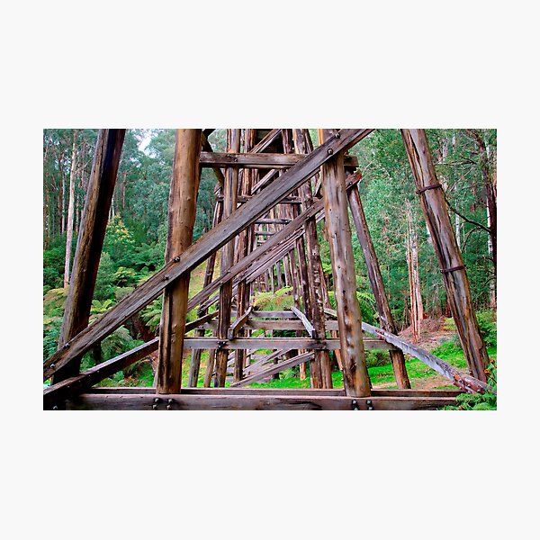 Item preview, Noojee Trestle Bridge designed and sold by Scott Harty.