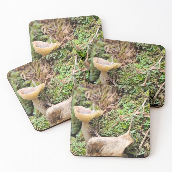 Artikelvorschau, Pilz im Wald entworfen und verkauft von Totallyalive.