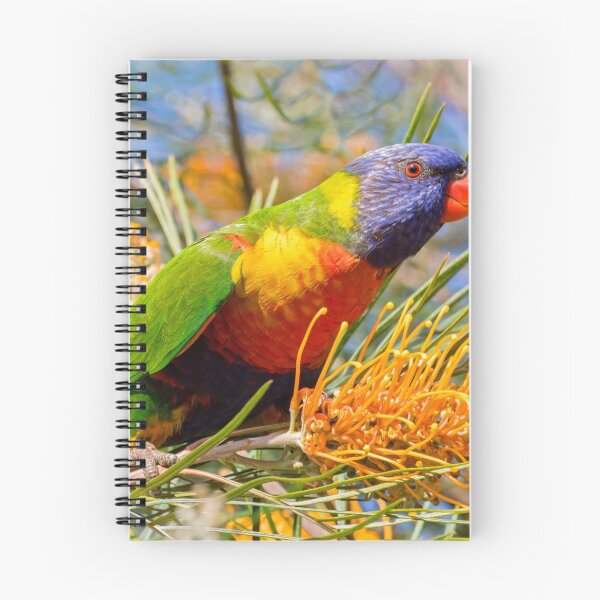 Item preview, Rainbow Lorikeet designed and sold by bidkev1.