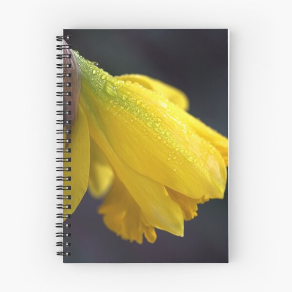 Item preview, Daffodil Rain designed and sold by Joy Watson - Natural Light Photography .