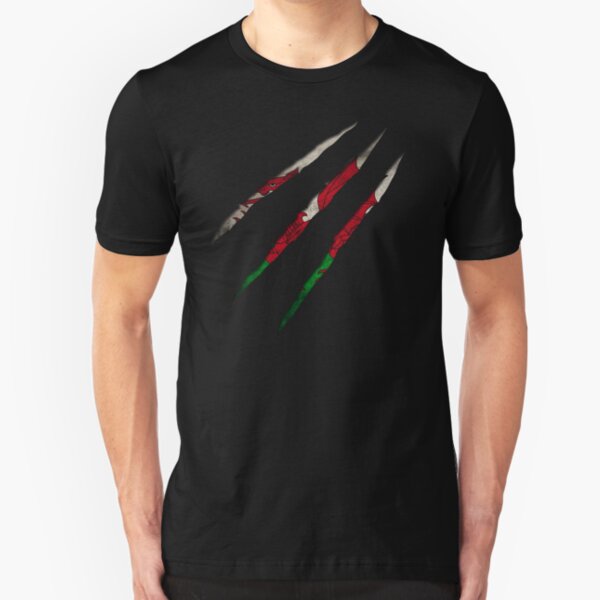 Wales Flag Slim Fit T-Shirt