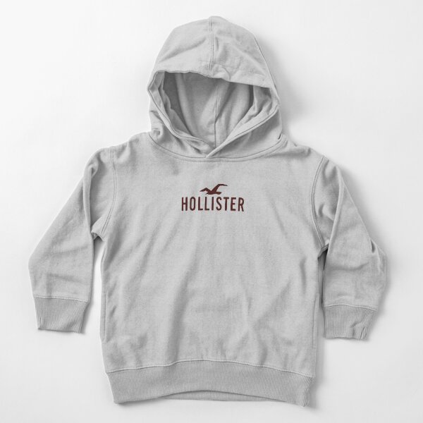 Hollister Kleinkind Hoodie