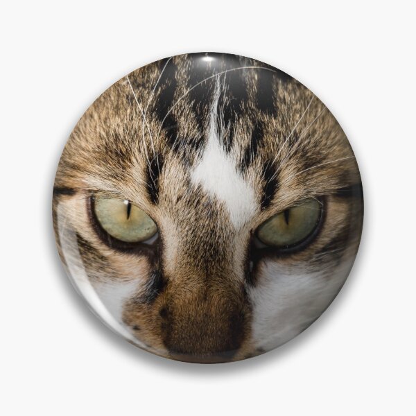 Item preview, The look designed and sold by BlueEdgeDesigns.