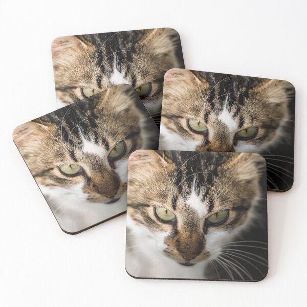 Item preview, The look designed and sold by BlueEdgeDesigns.