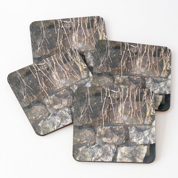Item preview, Fragment of ancient wall with some wild vine hanging down from it  designed and sold by helenkaiy.