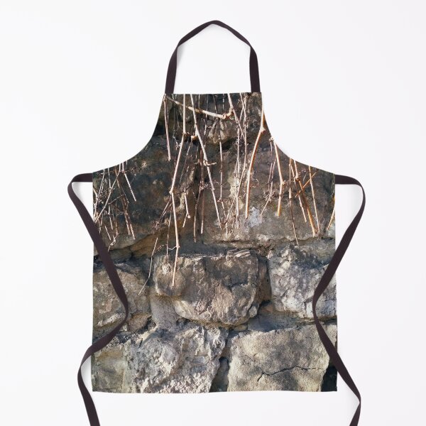 Item preview, Fragment of ancient wall with some wild vine hanging down from it designed and sold by helenkaiy.