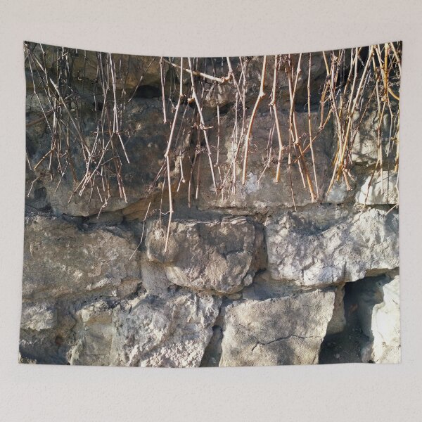 Item preview, Fragment of ancient wall with some wild vine hanging down from it  designed and sold by helenkaiy.