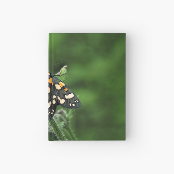 Scarlet Tiger Moth - Callimorpha Dominula Hardcover Journal