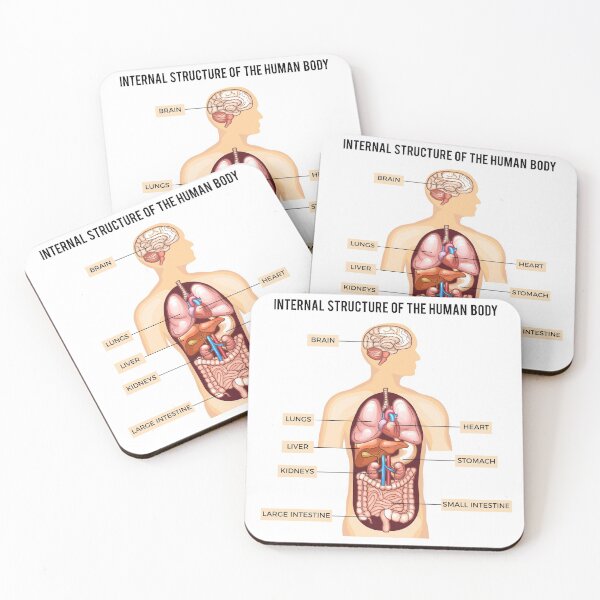 Item preview, Human Body Organs designed and sold by Inspireaglow.