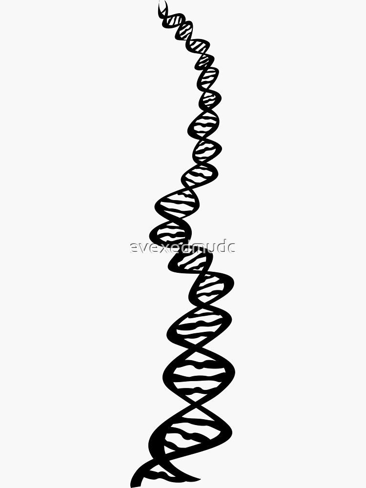 DNA strand - black by thevexedmuddler