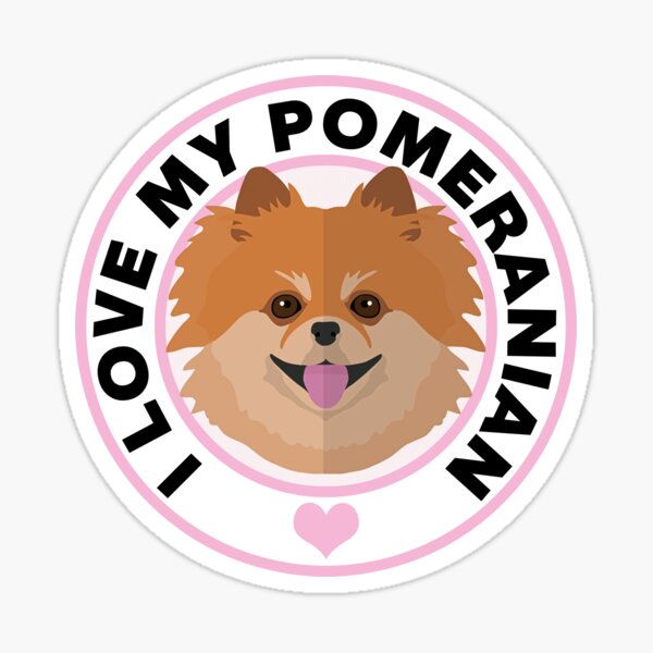 I cheap love pomeranians