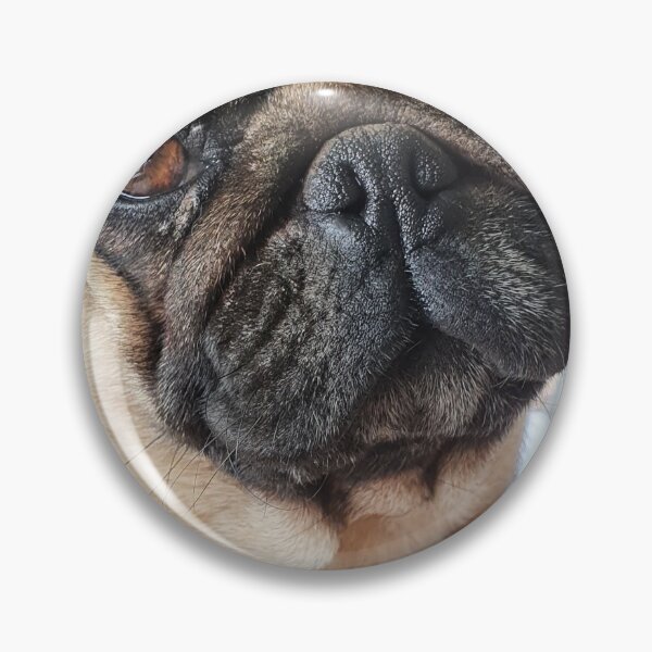 Item preview, Doguillo designed and sold by Rachel Downie.