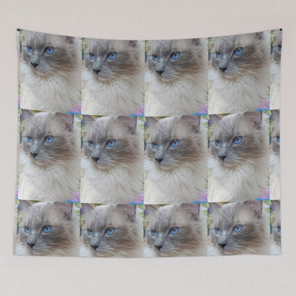 Item preview,  Ragdoll cat Odin designed and sold by Fluffycat2020.