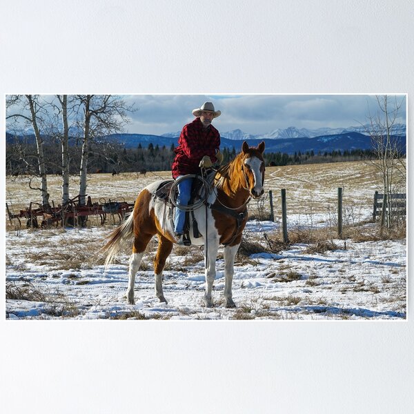 Item preview, Jack rides Paint - Heartland designed and sold by HeartlandItaly.