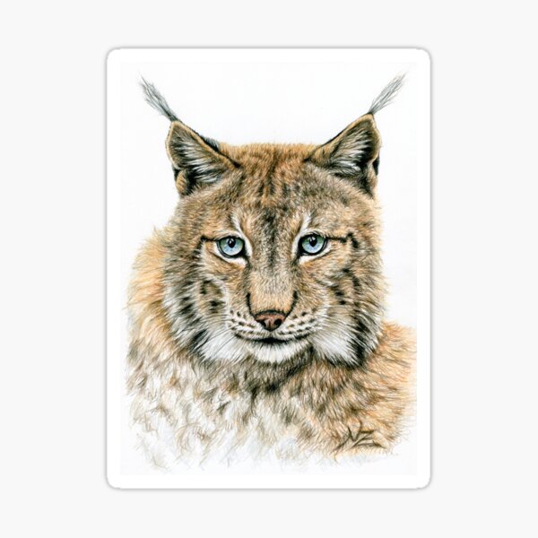 The Lynx Sticker
