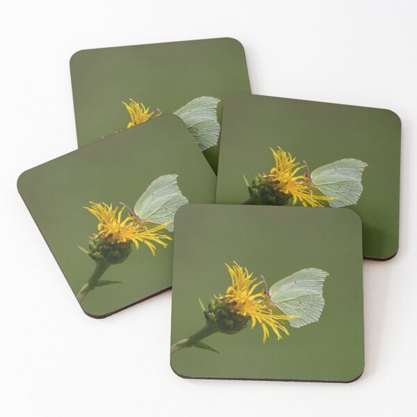 Item preview, Common brimstone butterfly designed and sold by pietrofoto.