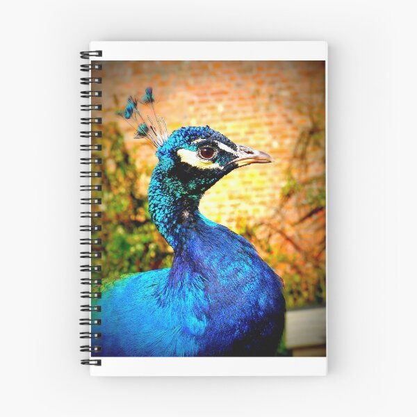 Item preview, Peacock............................Devon UK designed and sold by lynn carter.