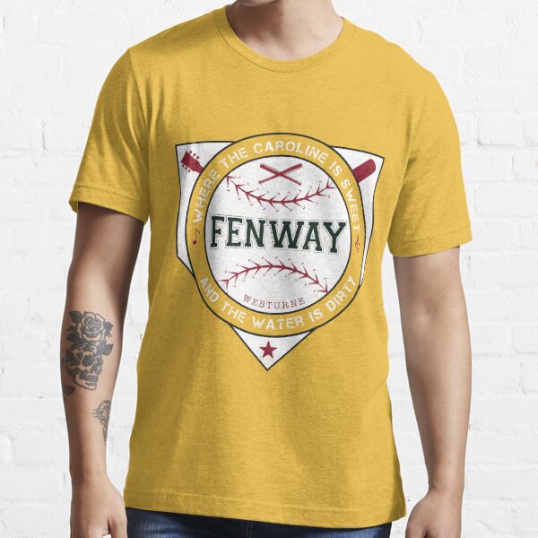 Boston Fenway Sweet Caroline Dirty Water Shirt Boston Kids Clothing | Redbubble