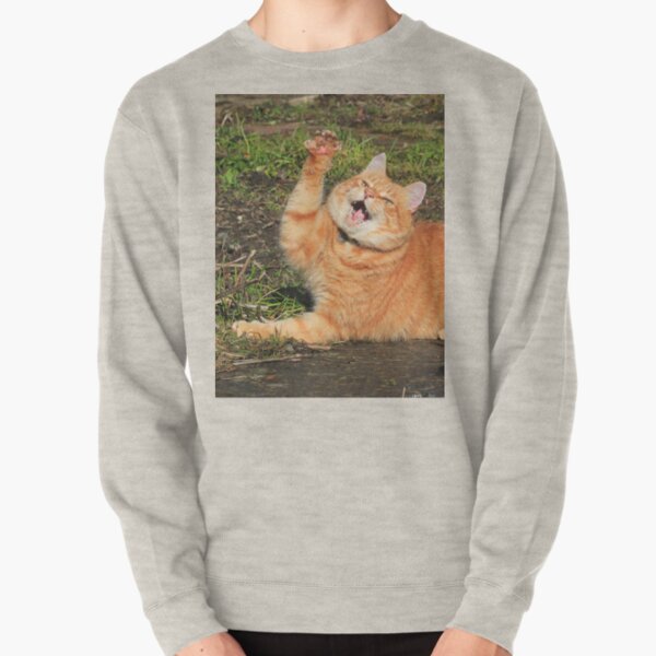 Ginger cat playing Pullover Sweatshirt