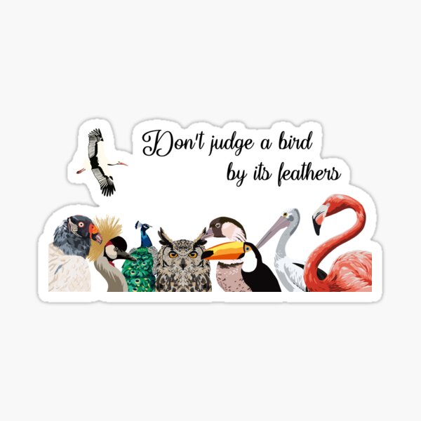 Item preview, Don't judge a bird by its feathers designed and sold by GeoCreate.