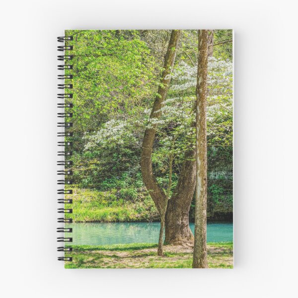 Artikelvorschau, Wasserfall und Hartriegelbaum entworfen und verkauft von mljdwhite.