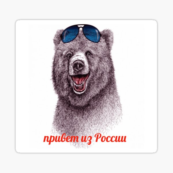 bear with glasses Sticker