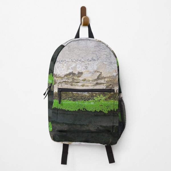 Item preview, Levada on Madeira 1 designed and sold by raumbildwelt.