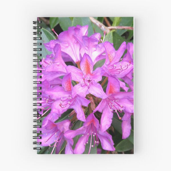 Item preview, Flowers in spring designed and sold by snadin.