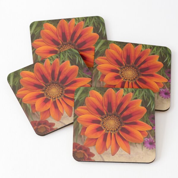 Item preview, Gazania designed and sold by MIRORA.