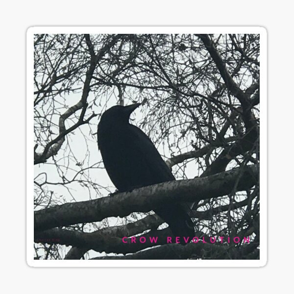 Crow Revolution Sticker