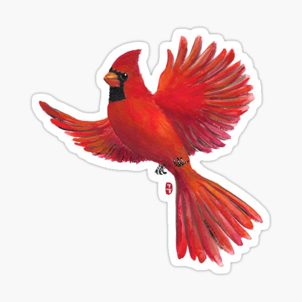  Cardinals Bird Stickers Fanny Pack for Women Men