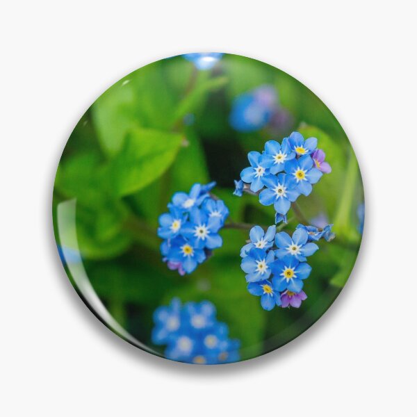 Item preview, Forget me nots beautiful spring flowers designed and sold by Dalyndigital Photography.