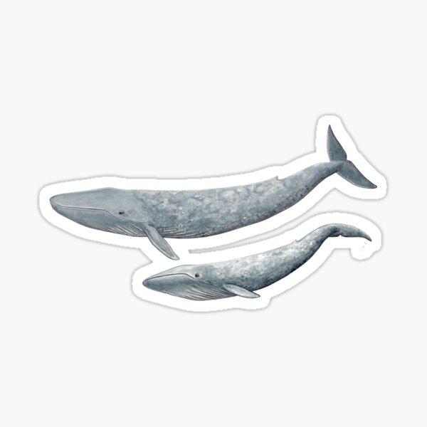 Item preview, Blue whale with baby designed and sold by chloeyzoard.