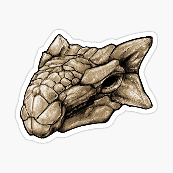 Dinosaur Skull Ankylosaurus Magniventris Sticker Sticker