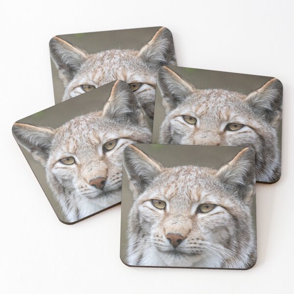 Item preview,   eurasian lynx canvas, eurasian lynx, animal, animals,  eurasian lynx wall art,  eurasian lynx artwork, wild, eurasian lynx art,  eurasian lynx painting designed and sold by eyesight4vision.