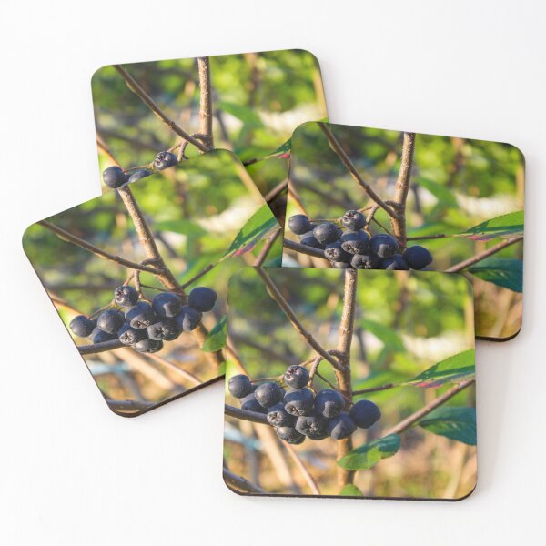 Item preview, Aronia berries designed and sold by Mahirov Shop.