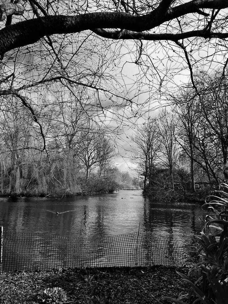 "St James's Park " Poster for Sale by PoetDobbyArt | Redbubble