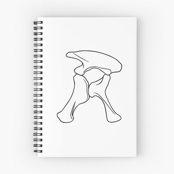 Item preview, Apatosaurus Pelvis (Blank) designed and sold by peltigaan.
