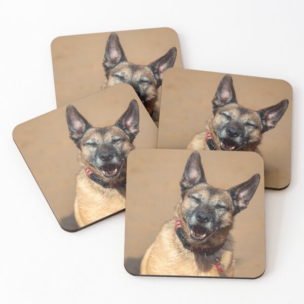 Item preview, Dog jokes designed and sold by DelvesPhoto.