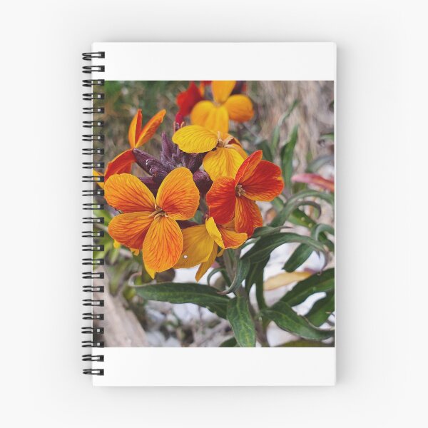 Item preview, Wall Flowers Photography designed and sold by s10-Photography.