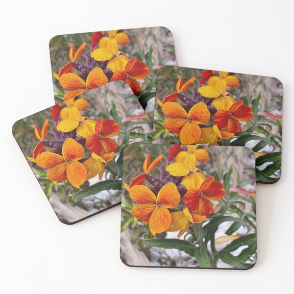 Item preview, Wall Flowers Photography designed and sold by s10-Photography.