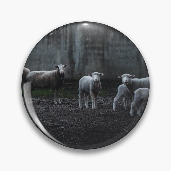 Item preview, Sheeps on Costa da Caparica Portugal designed and sold by Pratyasa.