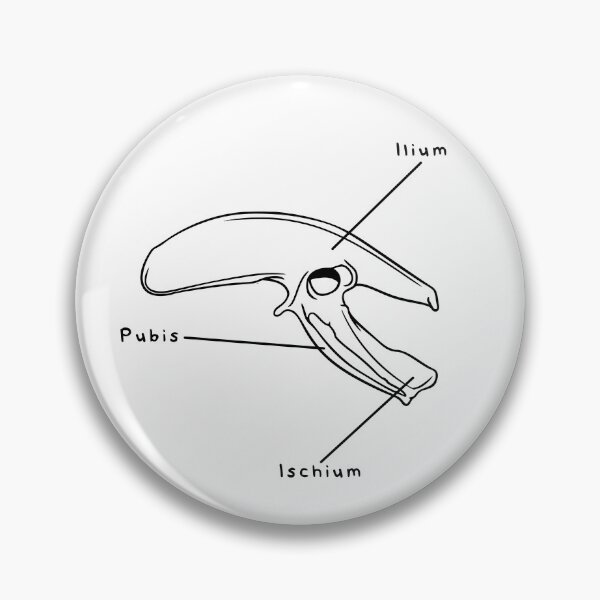 Item preview, Gallus Pelvis (Labeled) designed and sold by peltigaan.