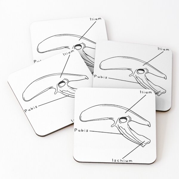 Item preview, Gallus Pelvis (Labeled) designed and sold by peltigaan.